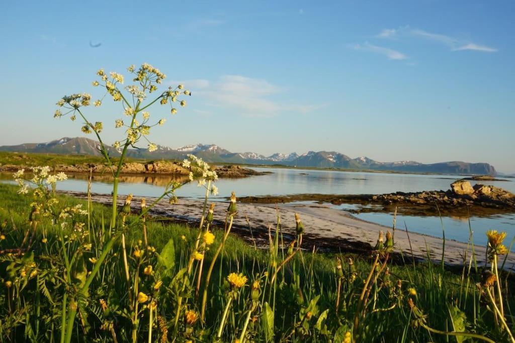 Stave Sjarmerende Hus Med Orkesterplass Til Hav Og Fjell المظهر الخارجي الصورة