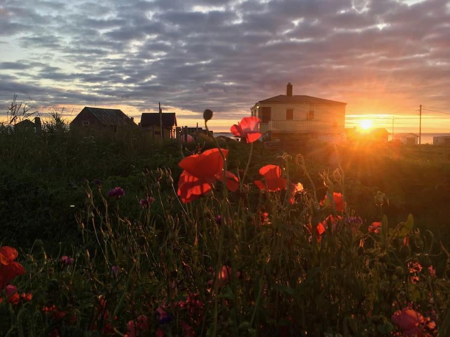 Stave Sjarmerende Hus Med Orkesterplass Til Hav Og Fjell المظهر الخارجي الصورة