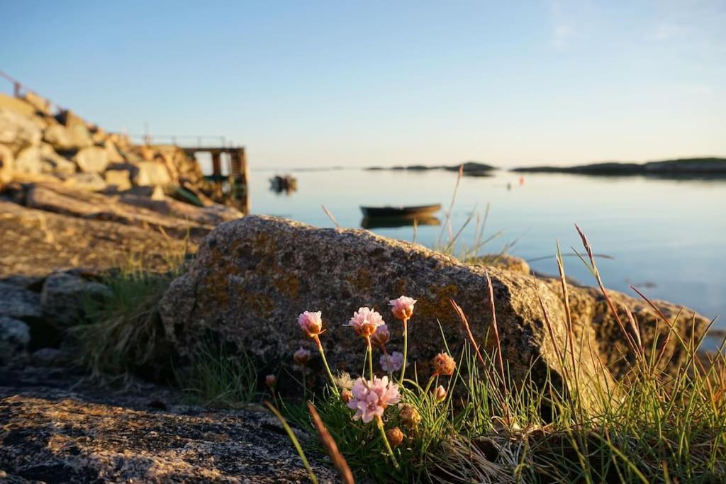Stave Sjarmerende Hus Med Orkesterplass Til Hav Og Fjell المظهر الخارجي الصورة